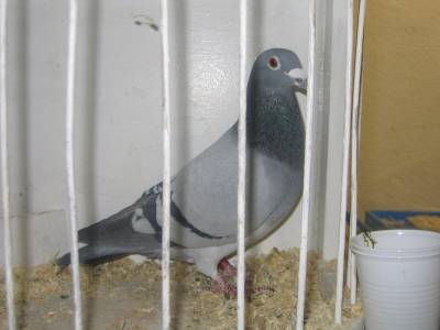 1� B-M.jpg