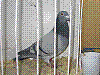 1� B-M.jpg