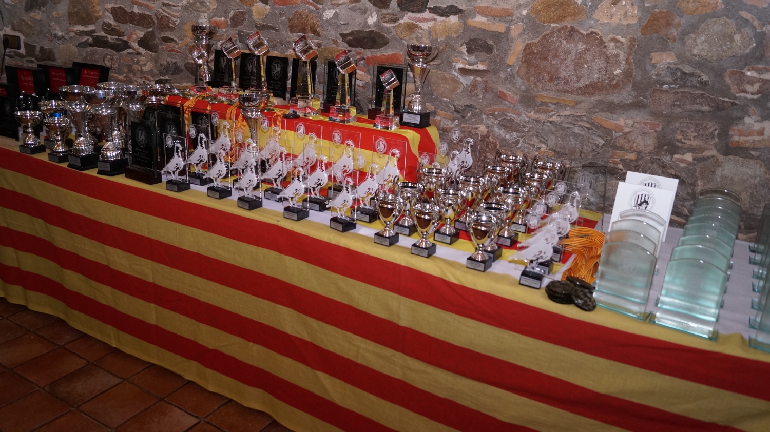 DSC03158.jpg